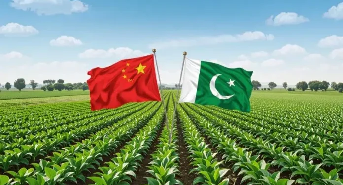 Pakistan and China push for smart farming partnership with greenhouse projects